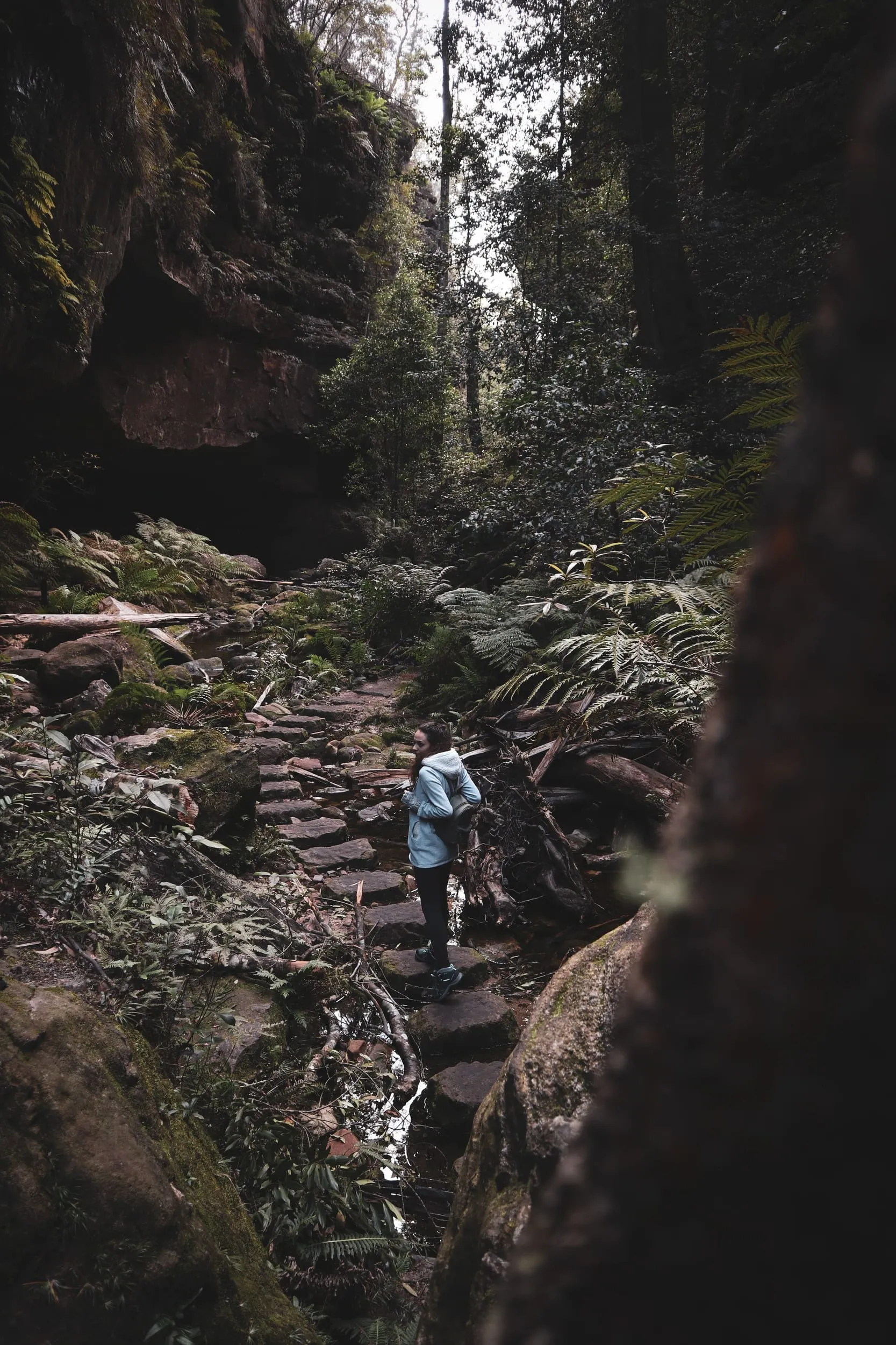 A walker on stepping stones in a fern-filled canyon
