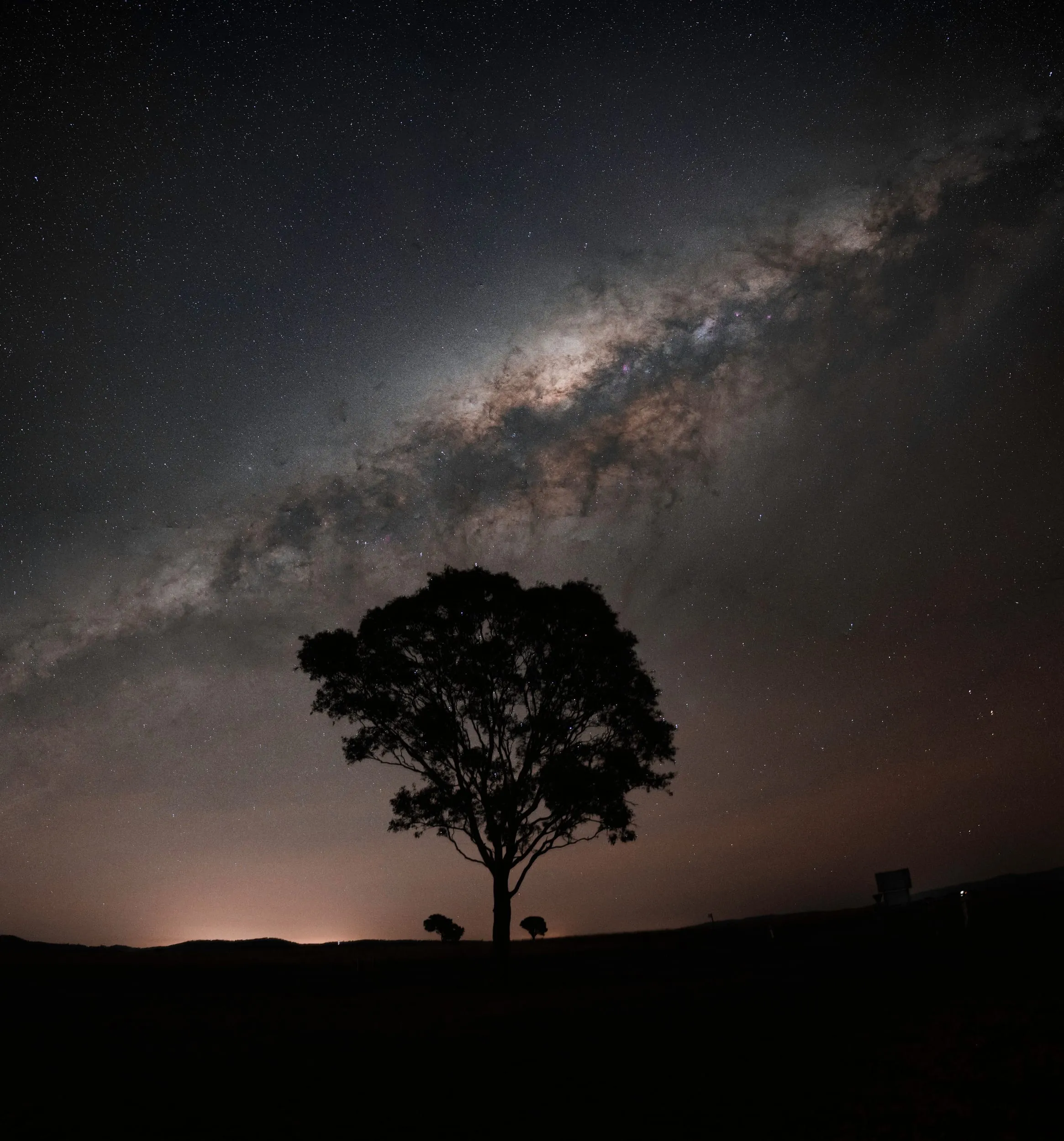 The Milky Way over a single gum tree on a dark ridge