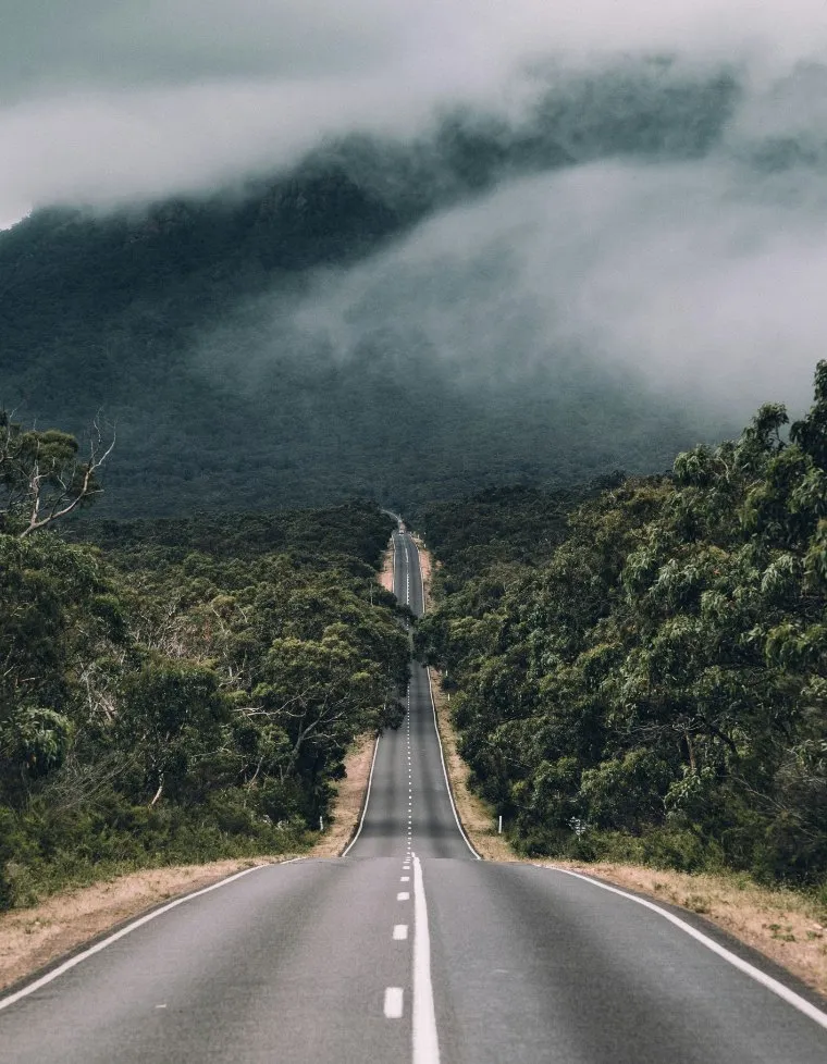 A road leading into misty hills