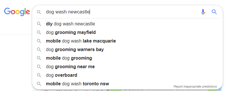 Google autocomplete suggestions for "dog wash Newcastle"